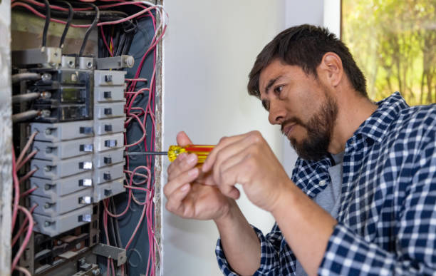 Best Electric Panel Repair  in Mount Arlington, NJ
